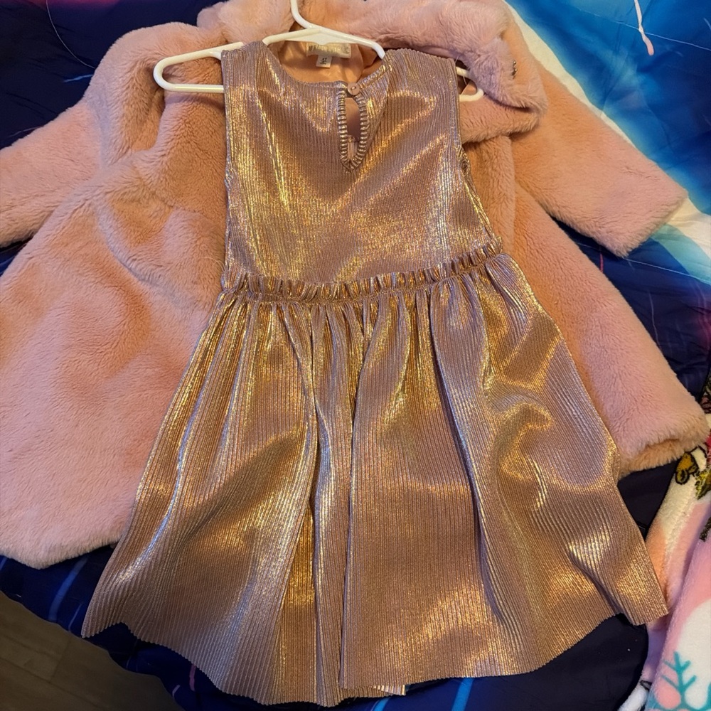Nannette Pink Faux Fur Coat and Dress size 4T - Picture 5 of 7